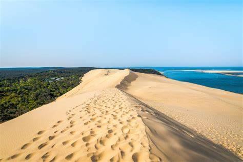 Aiguillon, 4 Pers, Plage A 5Min A Pied, Parking Arcachon Eksteriør billede